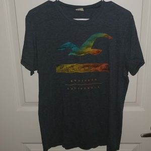 Mens Hollister Tee